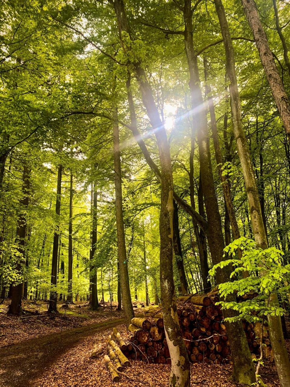 Fewo_Ortszeit Haintchen Luaran gambar